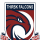 logo Thirsk Falcons