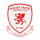 logo Nailsea United