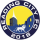 logo Reading City